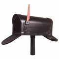 Special Lite Products Floral Curbside Mailbox with Two Doors, Hand Rubbed Bronze SCF-1003-TD-BRZ
